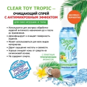Очищающий спрей для игрушек CLEAR TOY Tropic - 100 мл. - Биоритм - купить с доставкой во Владикавказе