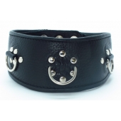 Чёрный кожаный ошейник с полукольцами и клёпками - БДСМ Арсенал - купить с доставкой во Владикавказе