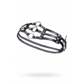 Черный кожаный пояс с кольцами - Pecado - купить с доставкой во Владикавказе