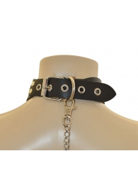 Ошейник  Веселый Роджер - Sitabella - купить с доставкой во Владикавказе