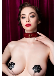 Красный ошейник из лакированного материала - ToyFa - купить с доставкой во Владикавказе