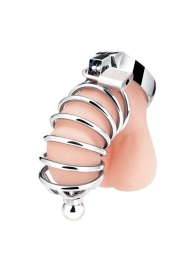 Серебристая клетка для члена Urethral Play Cage - BlueLine - купить с доставкой во Владикавказе