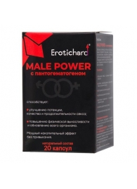Капсулы для мужчин Erotichard male power с пантогематогеном - 20 капсул (0,370 гр.) - Erotic Hard - купить с доставкой во Владикавказе