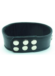 Чёрный кожаный ошейник с полукольцами и клёпками - БДСМ Арсенал - купить с доставкой во Владикавказе