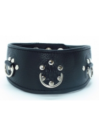Чёрный кожаный ошейник с полукольцами и клёпками - БДСМ Арсенал - купить с доставкой во Владикавказе