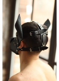 Эффектная маска собаки с металлическими заклепками - БДСМ Арсенал - купить с доставкой во Владикавказе