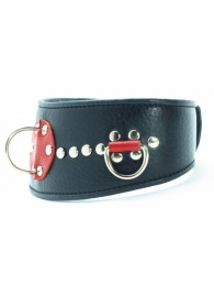 Кожаный ошейник с металлическими клепками - БДСМ Арсенал - купить с доставкой во Владикавказе