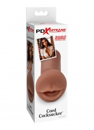 Мастурбатор-ротик Coed Cocksucker - Pipedream - во Владикавказе купить с доставкой