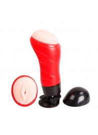 Мастурбатор-вагина Delia с вибрацией и голосом - Baile - во Владикавказе купить с доставкой