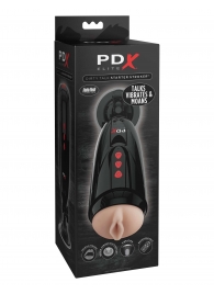 Мастурбатор-вагина с вибрацией Dirty Talk Starter Stroker - Pipedream - во Владикавказе купить с доставкой