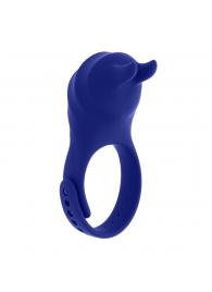 Синее эрекционное виброкольцо с клиторальной подушечкой и пультом ДУ Adjustable Fun Ring - Zero Tolerance - во Владикавказе купить с доставкой