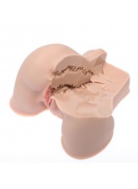 Мастурбатор-полуторс Naked Factory Kate - Naked Factory - во Владикавказе купить с доставкой