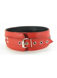 Черно-красный кожаный ошейник увеличенного размера - БДСМ Арсенал - купить с доставкой во Владикавказе