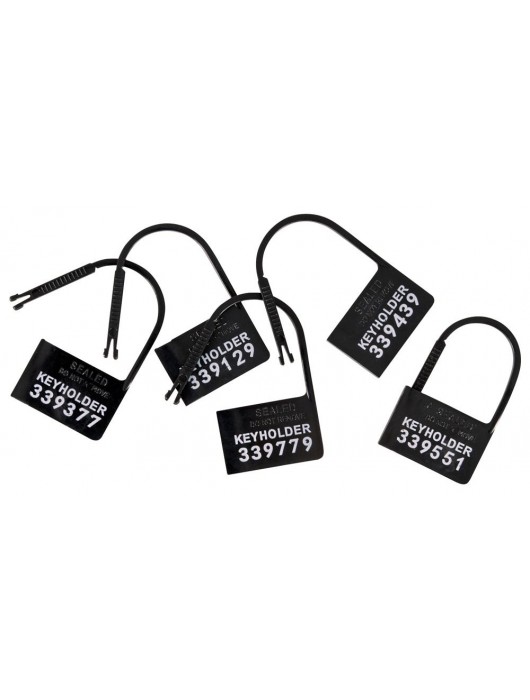 Набор для мужского пояса верности Cock Cage Set - Orion - купить с доставкой во Владикавказе