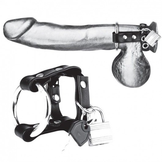 Металлическое кольцо на пенис на ремешке с замочком - BlueLine - купить с доставкой во Владикавказе