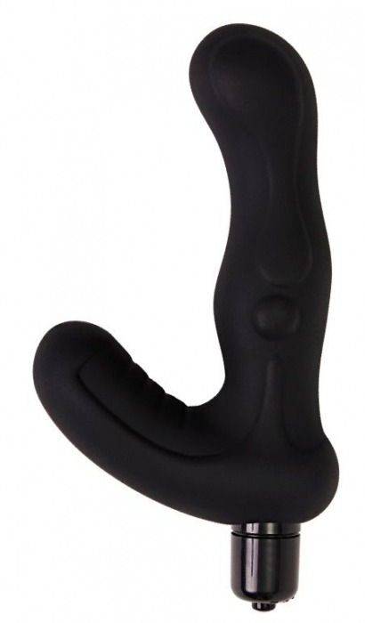 Черный вибромассажер простаты Titan - 15 см. - Le Frivole - во Владикавказе купить с доставкой