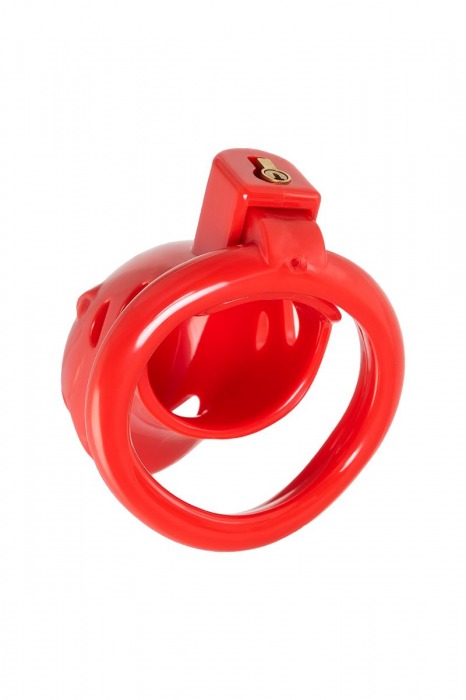 Красный мужской пояс верности из пластика - ToyFa - купить с доставкой во Владикавказе