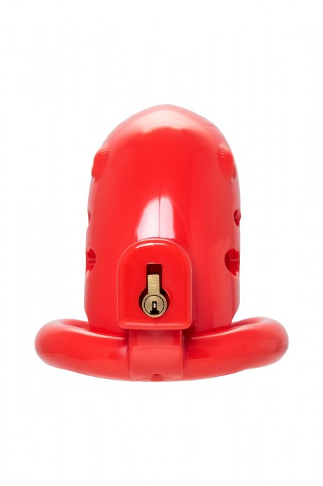 Красный мужской пояс верности из пластика - ToyFa - купить с доставкой во Владикавказе