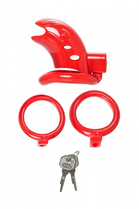 Красный мужской пояс верности из пластика - ToyFa - купить с доставкой во Владикавказе