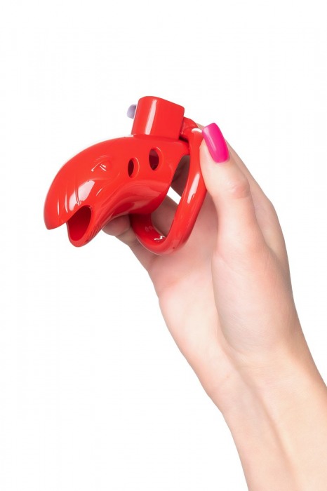 Красный мужской пояс верности из пластика - ToyFa - купить с доставкой во Владикавказе