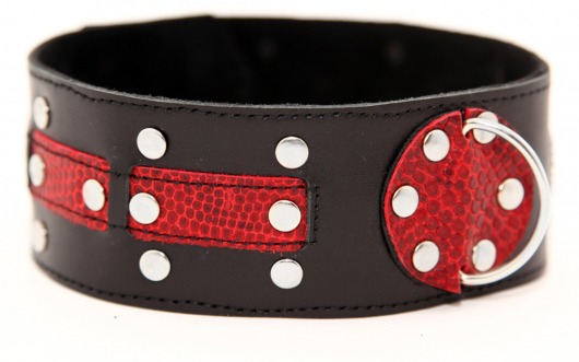 Чёрно-красный ошейник с клёпками - БДСМ Арсенал - купить с доставкой во Владикавказе