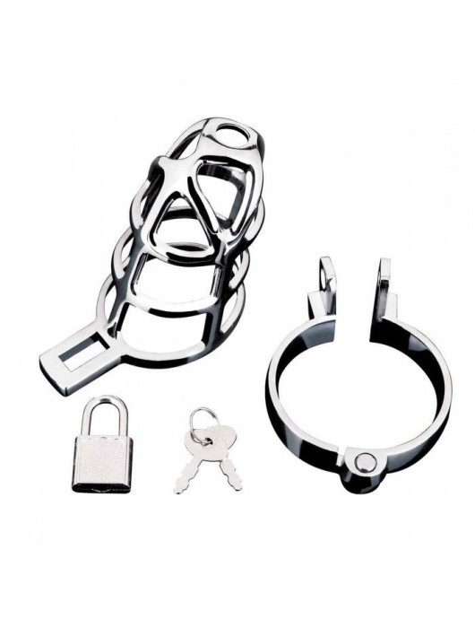 Серебристая металлическая клетка для члена с замком Enslave Cock Cage - BlueLine - купить с доставкой во Владикавказе