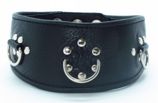 Чёрный кожаный ошейник с полукольцами и клёпками - БДСМ Арсенал - купить с доставкой во Владикавказе