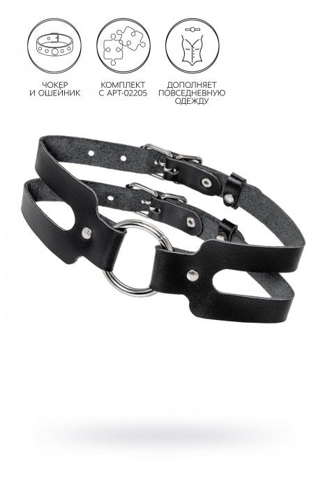 Черный кожаный чокер-ошейник из двух ремешков - Pecado - купить с доставкой во Владикавказе