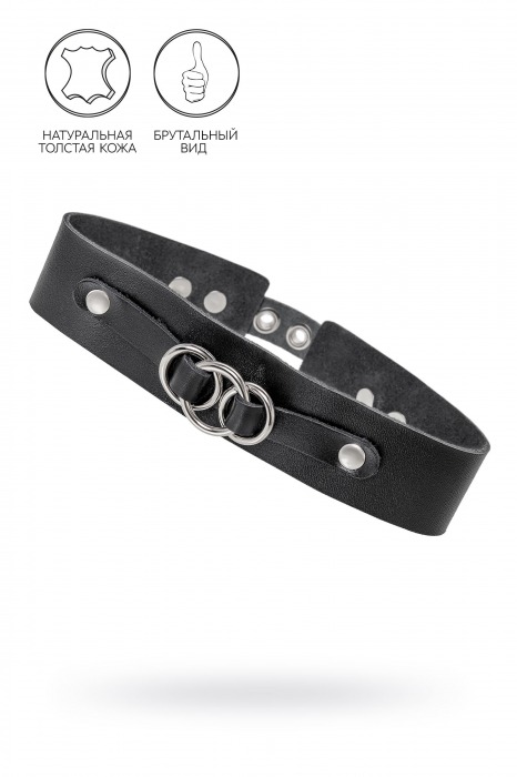 Черный чокер-ошейник со связанными кольцами на подложке - Pecado - купить с доставкой во Владикавказе