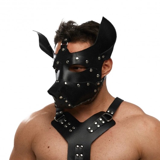 Черная кожаная маска «Собака» - Crazy Handmade - купить с доставкой во Владикавказе