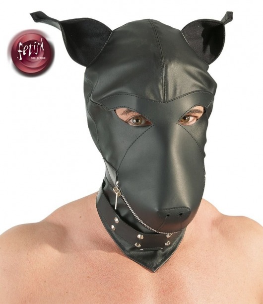 Шлем-маска Dog Mask в виде морды собаки - Orion - купить с доставкой во Владикавказе