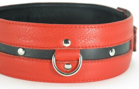 Черно-красный кожаный ошейник увеличенного размера - БДСМ Арсенал - купить с доставкой во Владикавказе