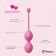Набор из 3 розовых вагинальных шариков FemmeFit Advanced Pelvic Muscle Training Set - FeelzToys во Владикавказе Набор из 3 розовых вагинальных шариков FemmeFit Advanced Pelvic Muscle Training Set - FeelzToys